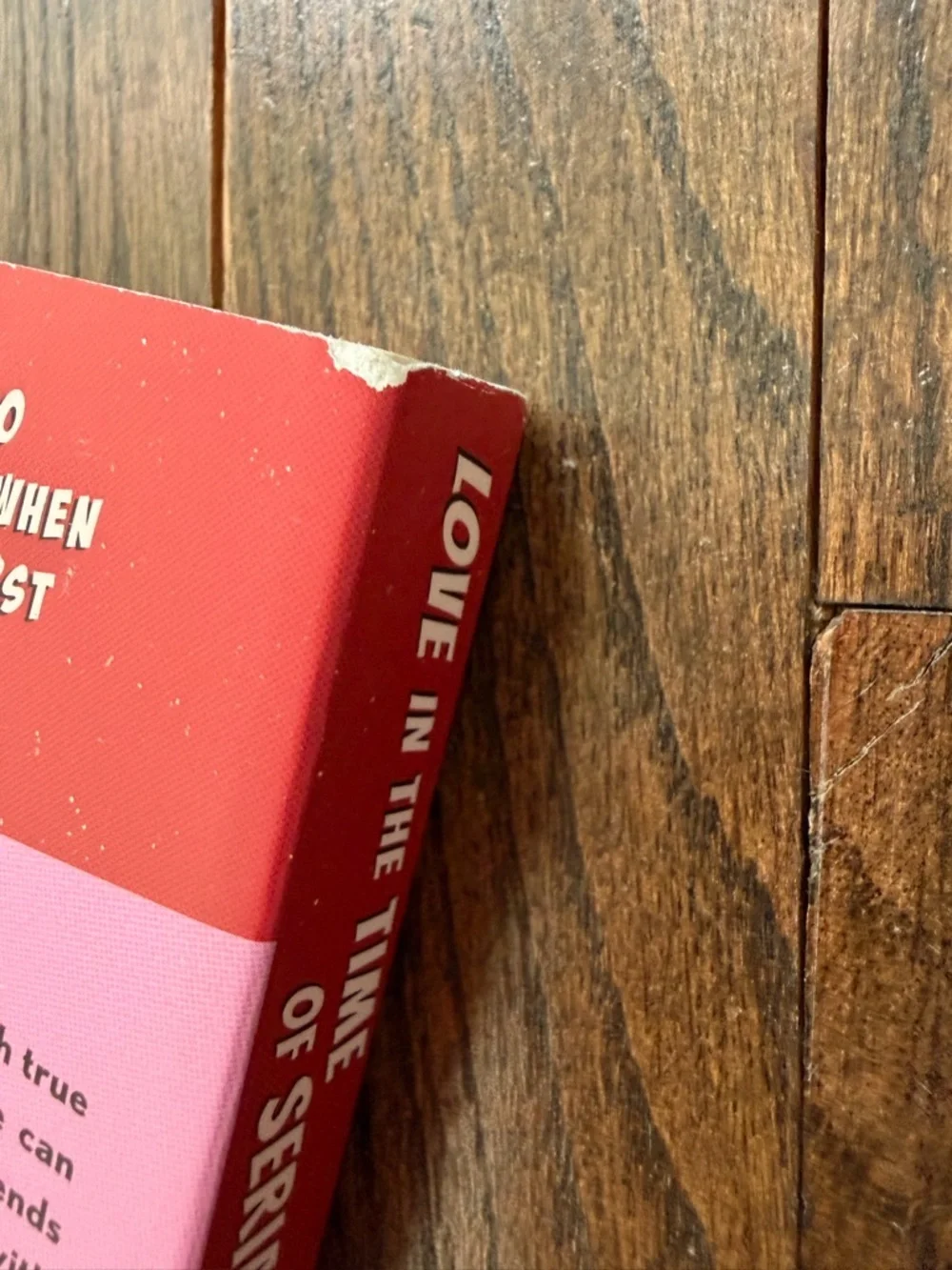 Original Penguin Pink and Red Paperback Back-Cover